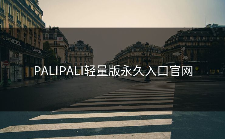 PALIPALI轻量版永久入口官网 PALIPALI轻量版永久入口官网
