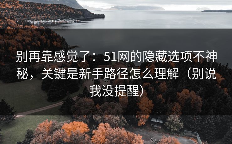 别再靠感觉了：51网的隐藏选项不神秘，关键是新手路径怎么理解（别说我没提醒）